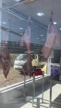 محل قصابة • بغداد • حي الخليج