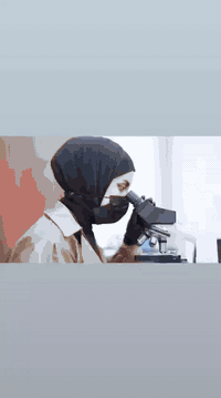 السلام عليكم
يعلن مجمع الموده الطبي 
عن تواجد كافه الاختصاصات الطبيه

الدكتوره النسائيه والسونار الكشفيه 10 الف 
طبيبه الاسنان  بدون كشفيه 
طبيبه الاطفال 10 الف
السونار 10 الف 

اوقات العمل من 3 ونصف الى 8 مساءا

العنوان ميسان مغربه شارع السوك مقابل مطعم بيت طعيمه 

رقم الهاتف ***********
