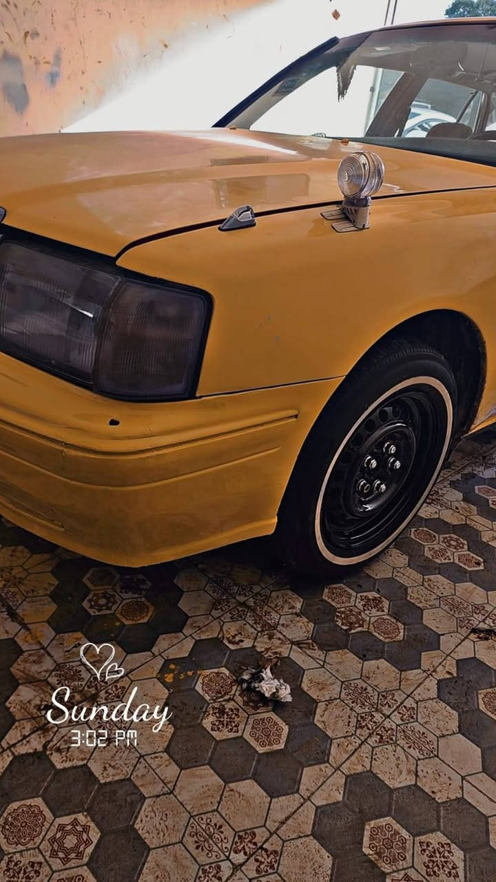 سلام عليكم راس ثور تكم مديل 2000 رقم بصره شرط المداور كصه قماره كير ومحرك حداديه كفاله مكينه 3000منضومه غاز خطه كربله نجف تخم تاير  السياره فول دركه شاهينه سعره65 وبيه مجال مكان السياره نجف***********
