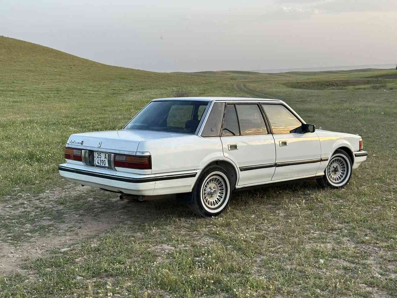 سوبر84کیر اوتوە محرک بط رقم جدید سنویە جدید شرط التحویل سیارە علی بلاد باقی سعر60ومجال كركوك, العراق


**إذا كنت صاحب هذا الإعلان وتريد حذفه لأي سبب، رجاءا أرسل رسالة إلى الدعم الفني**