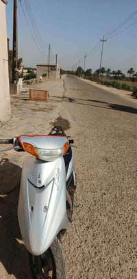 عصفورية • كهربايات • سلف شغال