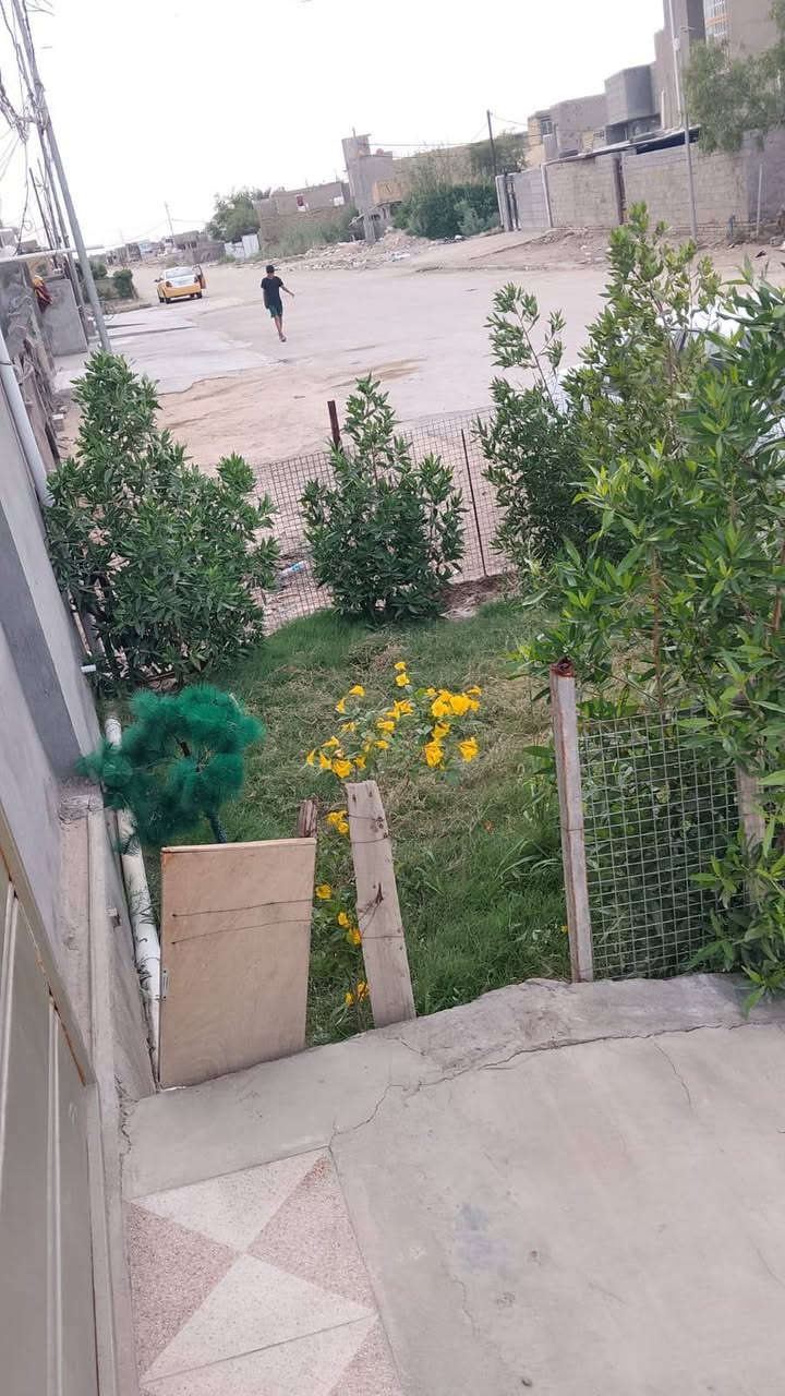 للبيع 《فرصه سكنيه استثماريه 》
السلام عليكم  
تم توفير بيت   طابو  صرف 
المساحه      :  155متر 
واجهيه.      :  7.5 متر 
صنف العقار : طابو صرف 
الخدمات.    : خدمات كامله   《 ماء وكهرباء  تبليط  》
المحتويات  : غرفه طابق ارضي +غرفتين طابق اول +استقبال +هول + مجمع صحيات 
#الموقع. .  : بابل / ابي غرق / حي السلام 
#ملاحظه.  : منطقه حلوه ومرتبه 
#السعر.      :  133 مليون .
#ملاحظه.  : خدمات متوفره ماء كهرباء تبليط   (الشراي الحقيقي اتصل وبخدمتك)
للاستفسار الاتصال على الارقام التاليه:
*********** اتصال + واتساب 
*********** اتصال + واتساب
 #بابل_ابي_غرق
