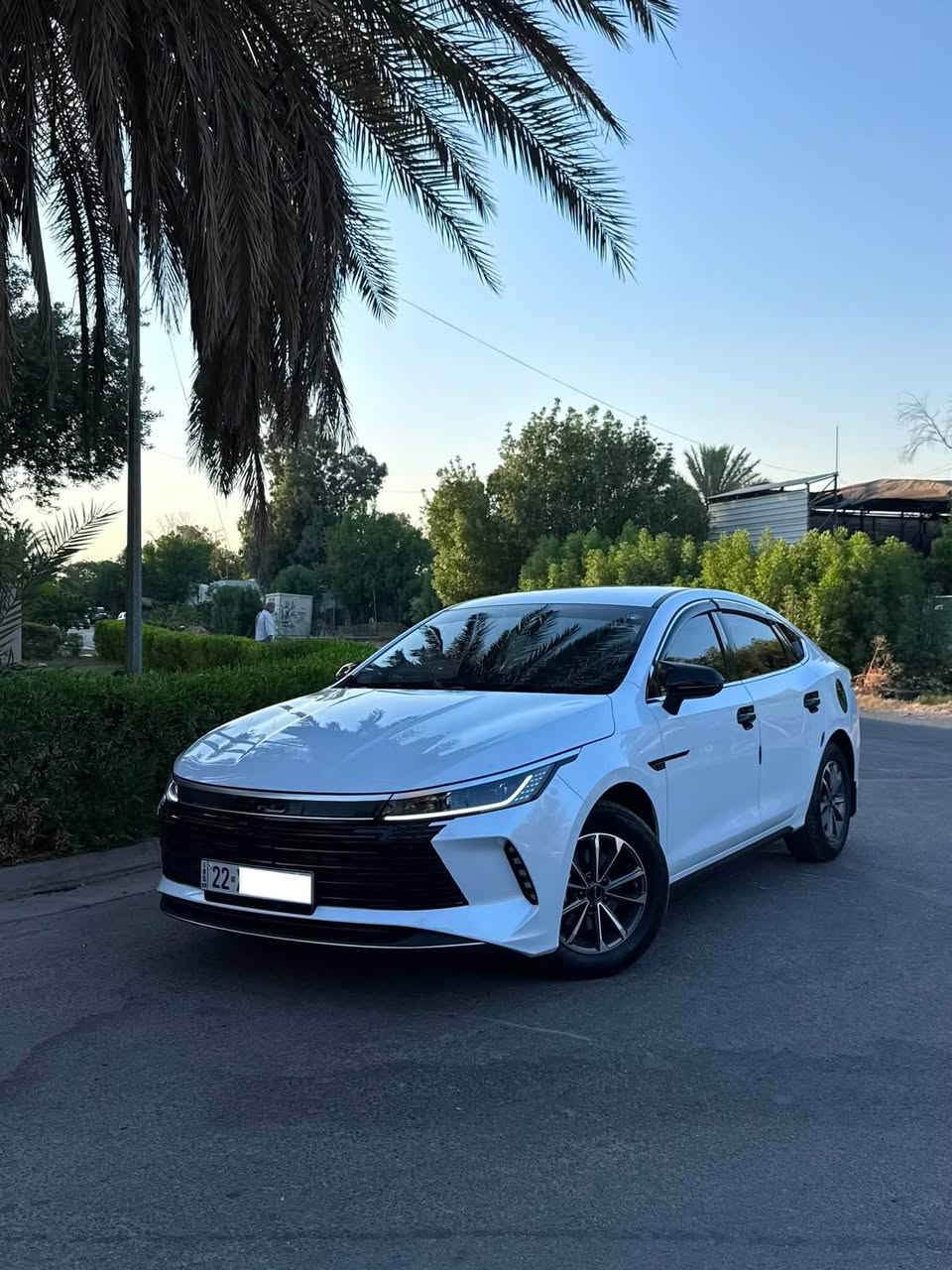 السلام عليكم 
BYD دسروير 2025
رقم اربيل باسمي السياره 
عليها تضليل مال اربيل رسمي 80% 

عليها كل هاي الكماليات 
لدات داخلي 26 قطعه
لدات امامي بلاد
تضليل بلادي
ارضيات حوضيه اسود
مرايات باتمان  اسود
داخل يده اسود
خارج يده  اسود
باج جاملغ اسود 
واقيات طين اسود
سكوبات اسود 
مطريات اسود
شفقه قماره اسود
قرش قماره اسود
جناح صندوك اسود
قبق بانزين اسود
قبق كهرباء اسود
غلاف كشنات ختم شركه
شاحن الاصلي مالتها

سياره جديده بمعنى الكلمه متحتاج اي مصرف ولا دينار 
كفاله عامه لا صبغ لا بارد ابد حت دعاميات 

رايدها ب20 مليون و200 وحبايب تاكدوا من اسعار الاربيل مو بغداد السياره شوف الاربيل بيش قبل لا تتصل ورجاء مو شراي لتعلق وتعبني كلمه طيبه منك واعبر المنشور حبيبي انت🤍🌹

مكاني بغداد الوزيريه 
للاستفسار ***********
