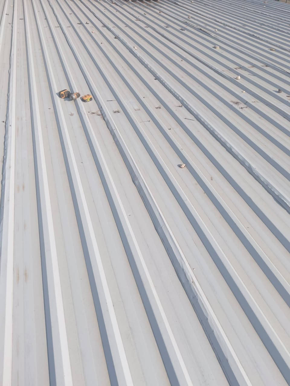 سلام عليكم نشتري ونبيع كافت سندويج شخاط بواري تفليش حقول جملونات شعدكم نشتري موجود خاص واتساب *********** اسعار مناسبه مكان بابل اسكندريه شاخه
