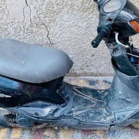 اكزز لايت • هندل • اوراق