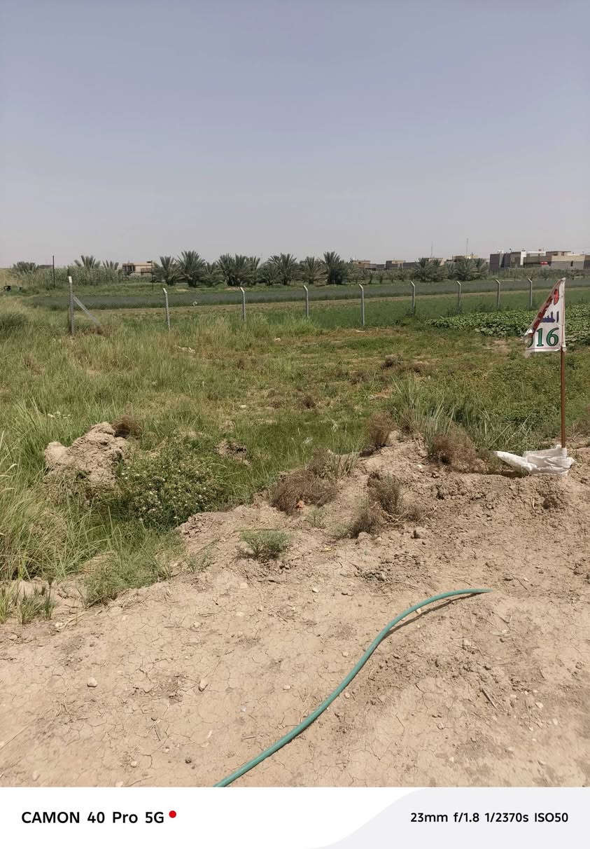 سلام عليكم قطعه 400مجمع سماح عله طريق الجفل مقابل مستشفى القاسم استفسار ***********
