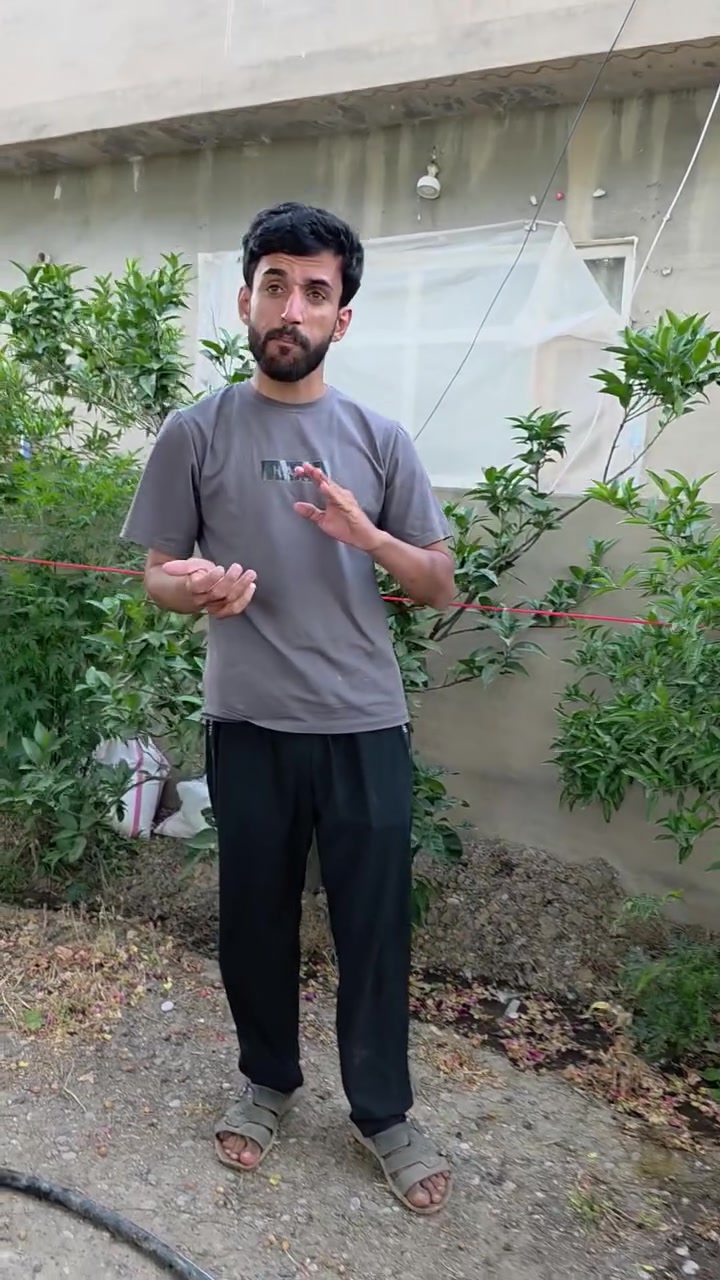 لە ئیستادا دەتوانن داری مزرەمەنیەکانت ئاوبدان ئەگەر ئاودانیش  دەرنگ بکەوێت لەئەمرۆ دواتر توشی نەخۆشی دەبێت بۆ لەئەمڕۆوە دەست بکەن بە ئاودانیان
بەهیوای سوودبینین
بۆ هەر پرسیارەکە کەهاتن دەتوانن پەیوەندمان پێوە بکەن
***********
***********
***********
***********
