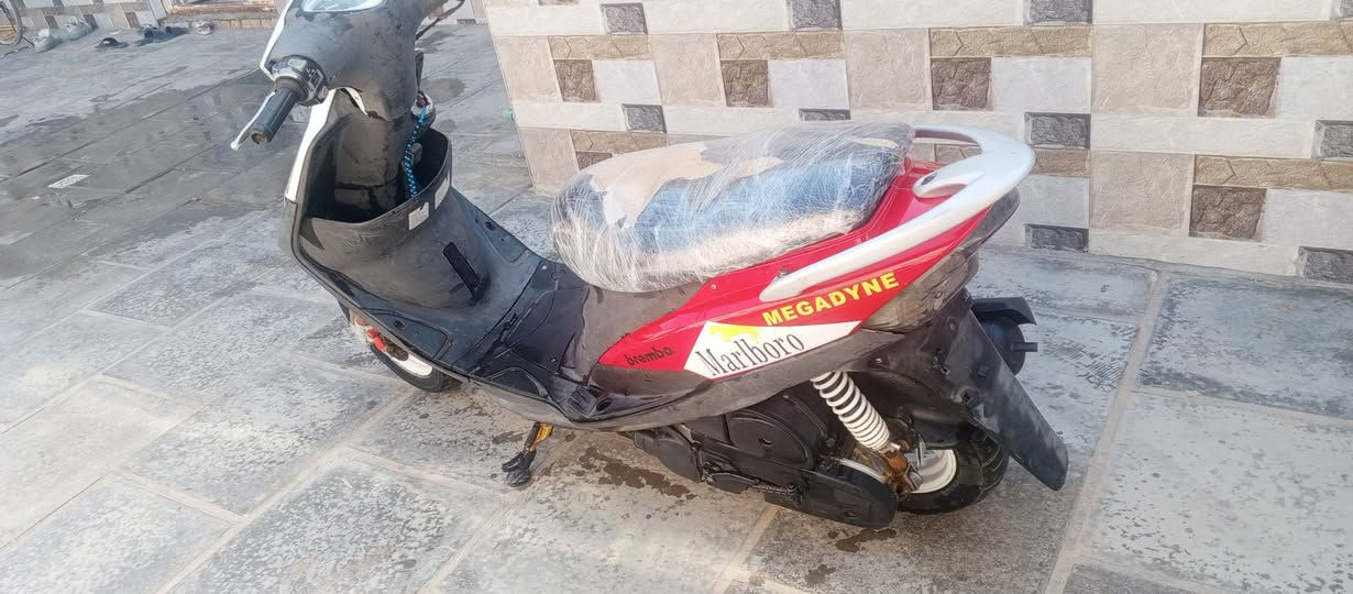 سلام عليكم ماكس عدله للبيع نضيف فول ملح بيه ويل عنكبوت دبلت امي مشمشي ستان رياضي شلعه اومعدل خير من الله كفرته البيض موجودات أو هذه رقمي ***********
