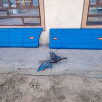 سبايدرات هنا وقوعتهن بلديات، 07838263272
