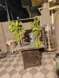 عربانه • رخصه ادمن • الفلوجه