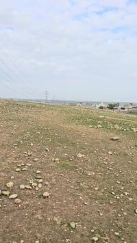 قوسيات حي الزيتون • جمعية ام الربيعين • ١٠٠م