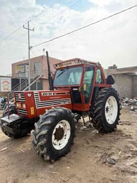 فيات • حجم 100 • كون دجيلي