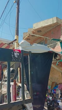 ستوته سليماني • محجل جمره