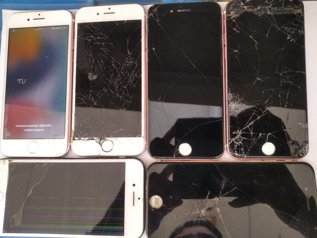 للبيع ايفونات.٧ عادي عدد٢.. ٦ اس عدد٣. ٦ جي عدد١.. فحم ما مفحوصات.. سعرهم ٣٠ شراي خاص


**إذا كنت صاحب هذا الإعلان وتريد حذفه لأي سبب، رجاءا أرسل رسالة إلى الدعم الفني**