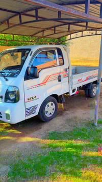 ٢٠١٤ • طخات مصبوغه • صلاح الدين