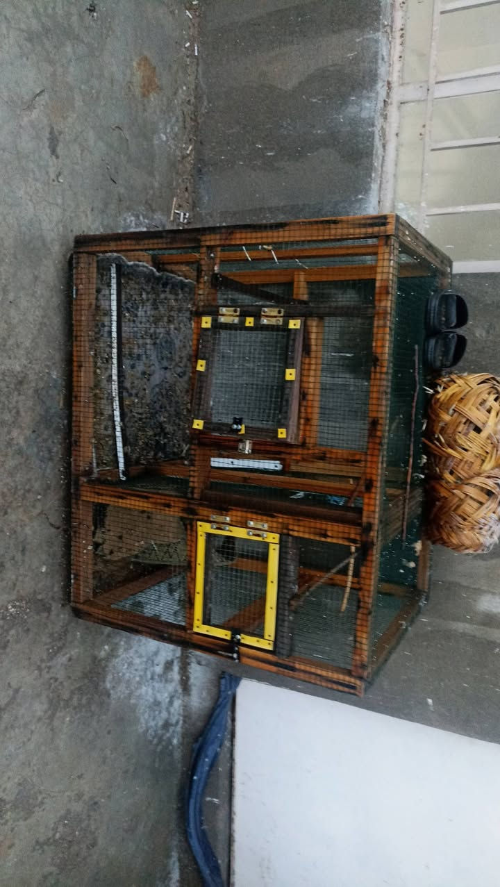 بو فروشتنه سعرى 20هه زاره


**إذا كنت صاحب هذا الإعلان وتريد حذفه لأي سبب، رجاءا أرسل رسالة إلى الدعم الفني**