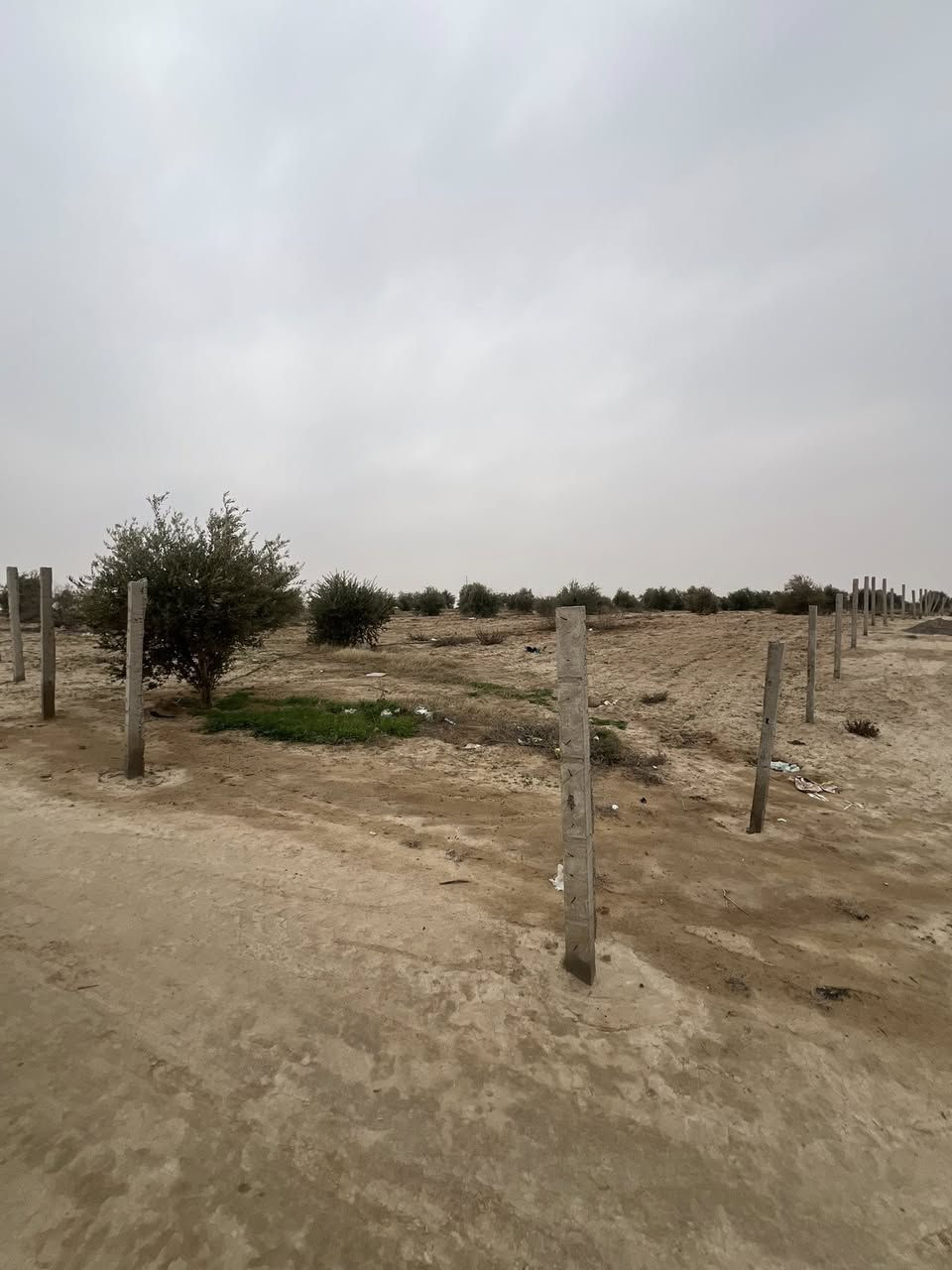 بستان للبيع
دونمين ونص واصل ماء وكهرباء وسياج 
كامل مكمل 
بريه بعاجه بساتين الگصب 
السعر ٣٥ مليون 
شلون تريد اراهمك 
اتصال و واتساب ***********
