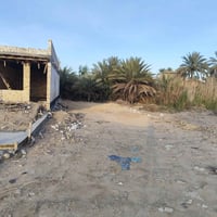 طويريج الجمعية • ٢٣٥م • طابو زراعي