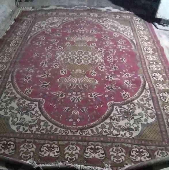 زوالي 
للبيع كلمن وسعرها 
حله شارع 60 شارع الحسينيه 
رقم هاتف
***********
