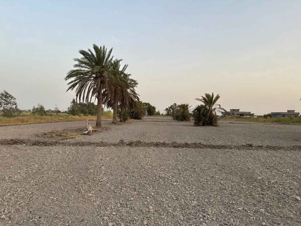 🌴 للبيع أرض مميزة 🌴
إخوان، للبيع 5 دوانم ونص بسمي، سند 25 طابو الفلوجة، منطقة شيخ عامر – سبع البور.

✅ الأرض بيها نخل حمّال وأنواع مختلفة .
✅ ماء سقي وماء إسالة الكرخ متوفر.
✅ كهرباء موجودة.
✅ ثاني قطعة من الشارع.
✅ قريبة على جامع الإمام الحسن.
✅ تبعد عن الكاظمية تقريباً ربع ساعة.

الأرض مخدومة وجاهزة للزراعة، وتصلح همين للاستثمار وسوي بيها مزرعة أو شاليهات، خصوصاً والمنطقة كلها مزارع وشاليهات.

🔹 البيع من دونم فما فوق.
🔹 الأرض ملك سند ٢٥ طابو الفلوجة وباسمي مباشرة.

للاستفسار والمعاينة الاتصال على الرقم:
📞 [رقم الهاتف]***********
***********
