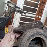 فراشة • عاطلة