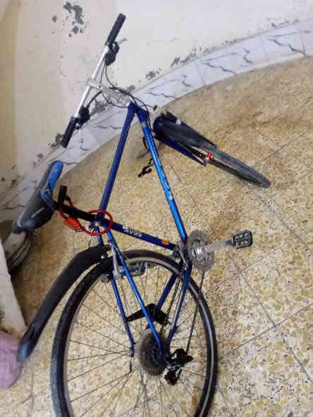 السلام عليكم بايسكل للبيع بريكات ورا وقدام شغالات النمر شغالات الشراي يراسلني على الخاص السعر 110 وفي مجال يتصل عليها على هذا الرقم***********
