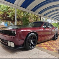 جالنجر • ٢٠١٩ • تحويل مباشر