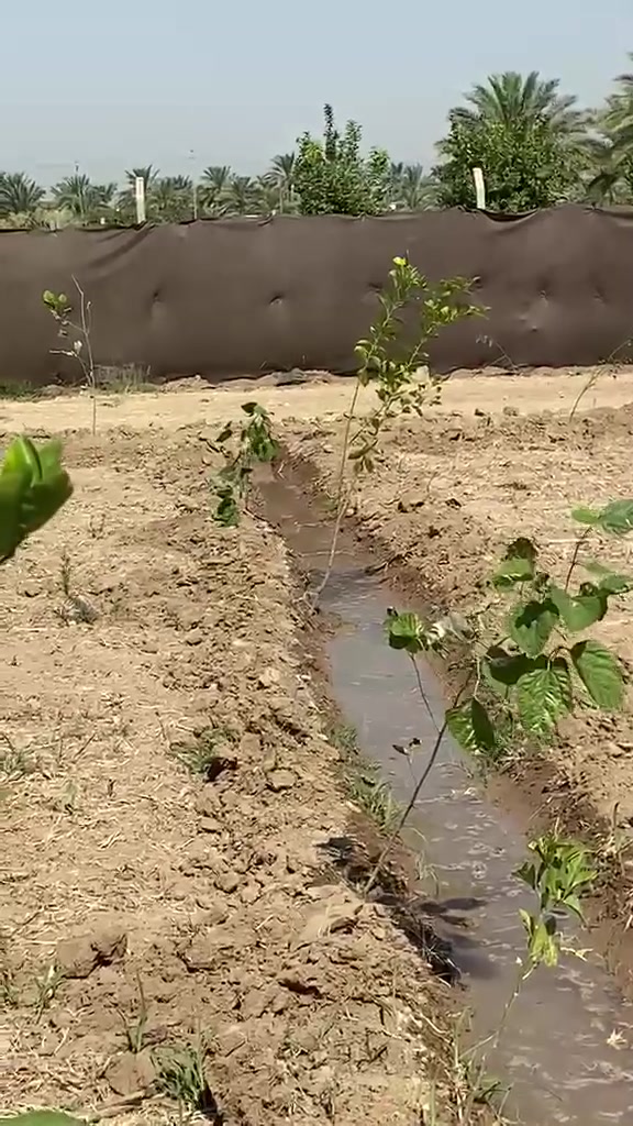 سلام عليكم
للبيــــــــــع دونم طابو
ملك صرف شرط التحويل 
موقع رهيب سكن أستثمار
مخدوم بلكامل عدا الشارع ترابي
يبعد عن الشارع العام حوالي 200 متر
واجة الارض 21متر
مشجر وموضح بلفديو ماء سقي متوفر
العنوان بغداد المدائن منطقة التويثة
قرب مدرسة المسعودي
للاستفسار الاتصال ***********
او مراسلة واتساب
#و***********

