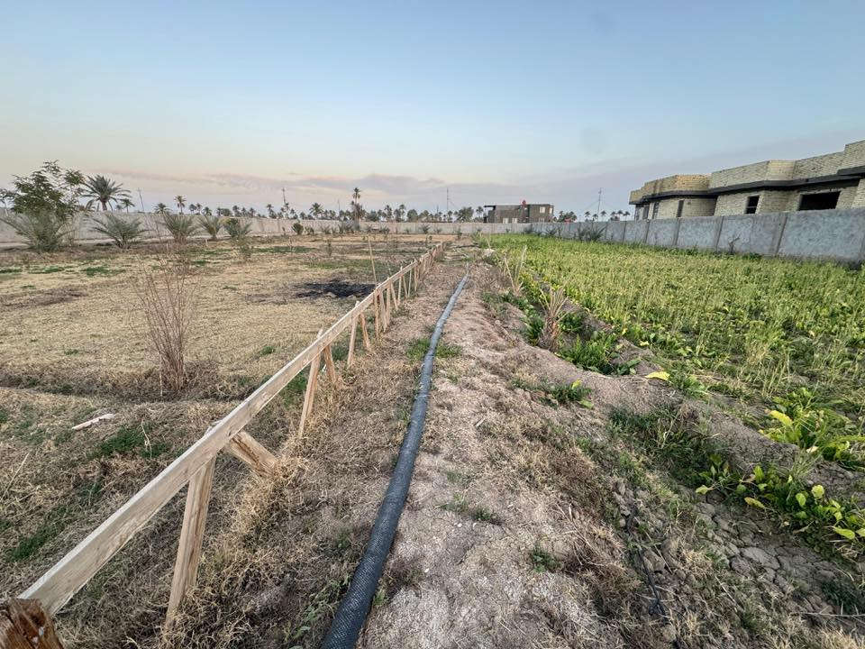 سلام عليكم مزرعة للبيع دونمين سند ٢٥ زراعي ابعاده ٤٢ متر الواجهة والنزال ١١٩ متر وبي نهر وبير و تحتوي على استراحة وحمام وسياج بلوك ملبوخ ومنثور من الخارج والاساس والاعمدة كوكنريت وبي تقريبا ٢٠ نخلة واشجار متنوعة الموقع طريق كربلاء -النجف مفرك آل چباس على نهر الاعيوج السعر ٣٥٠ مليون والي يحب يتواصل على الرقم ***********
