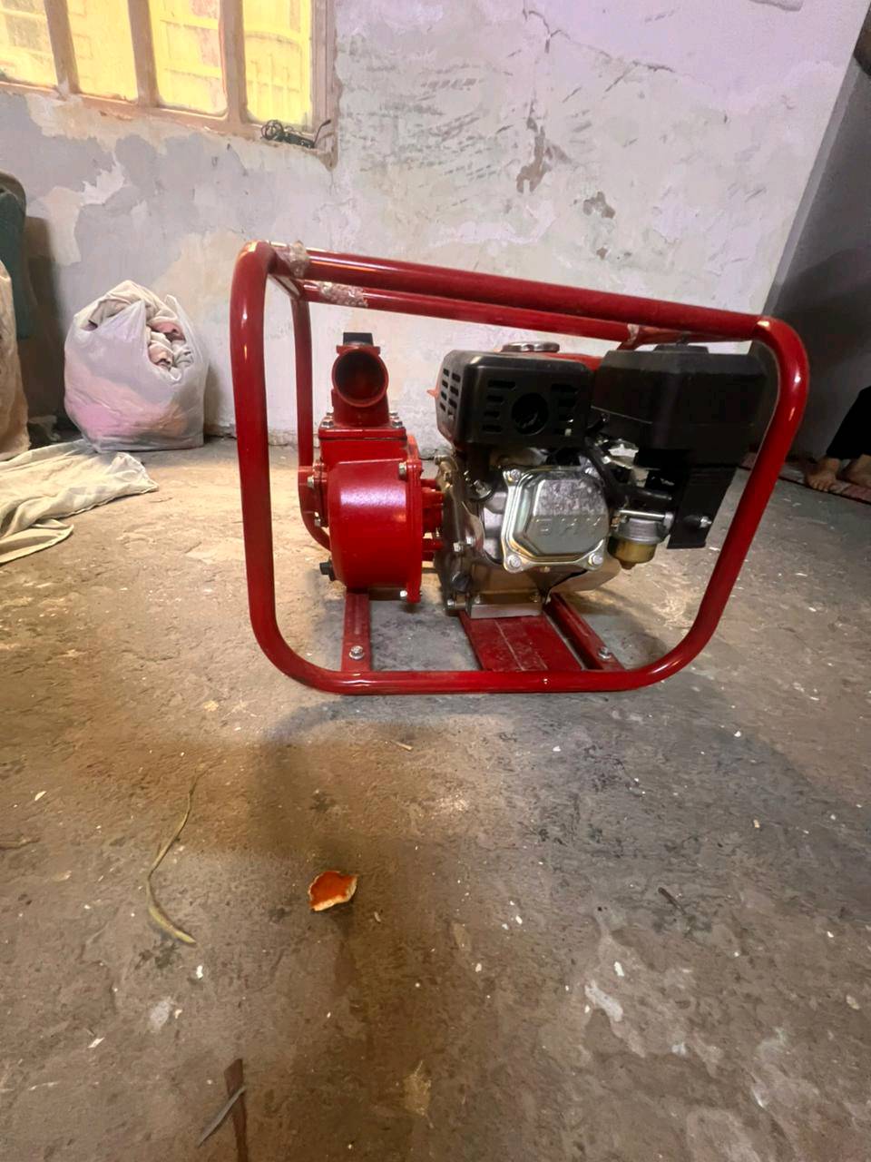 خنزيه مراوس أو بيع ب١٠٠الف