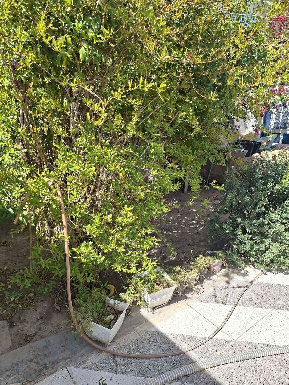 دار للبيع ١٥٠/م طابقين 
زراعي سند ٢٥ السعر ٦٠ مليون نادر كراغول ***********
