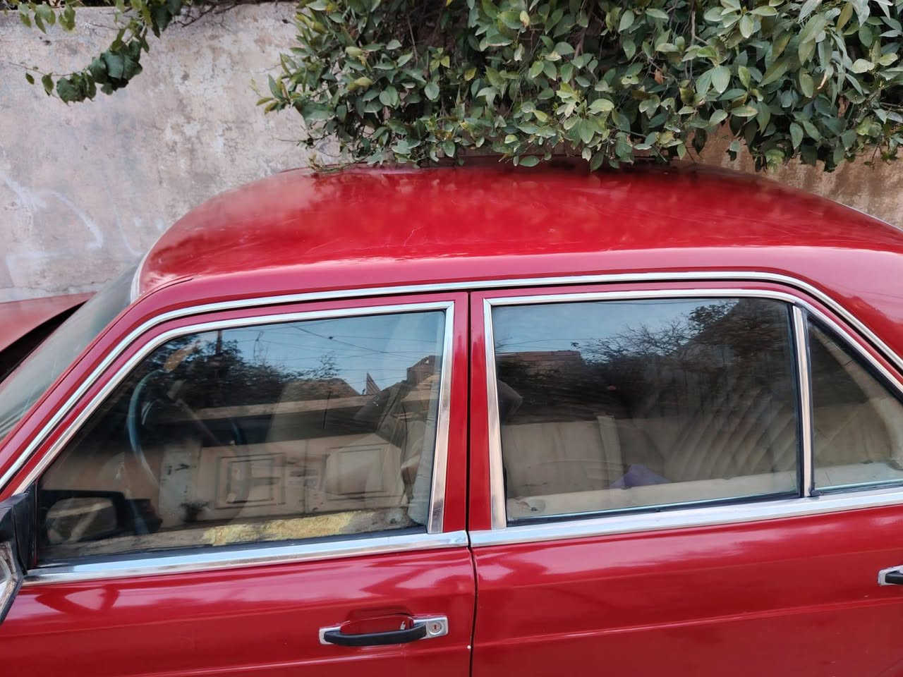 للبيع مارسيدس جامبو حجم 280 محرك اصلي ما محور 
مصبوغه عام كير محرك شرط رقم نينوى مشروع وطني 
بسمنه شرط التحويل بيها بعض النقوصات كابون ما بيها 
تبريد مشيول غراضو السعر  35  قفل  ***********
