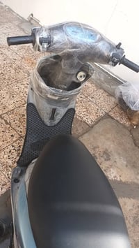 ماكس منغولي • كفاله عامه • بل امين٢