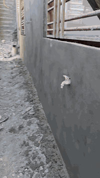 بالله سلام عليكم ارفع المنشور جزاك الله خيرا الباخ متفرغ شغل هندسي درجه اولى جميع  انواع البخ اشتغل عملي في كربلاء وجهيات داخل وخارج لط جص بورك سمنت طلس *********** تصل وتساب بل خدمه
