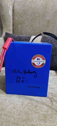 ليثيوم فوسفات • ٢٤فولت • BMS١٠٠أمبير