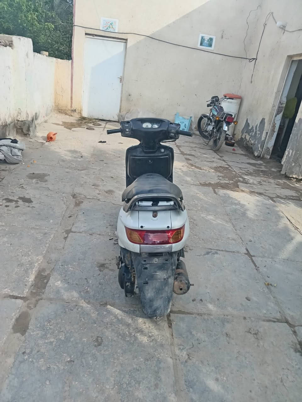 سلام عليكم درجة فراشه للبيع محرك مفتوح درجة مكينه لا دخان ولا تنقيص كهرباايات شغاله لايت زنون اشاير سلف دشبول كله شغاله درجة نكره سلف بكل وقت سعر 300مكاني ديوانيه سنيه


**إذا كنت صاحب هذا الإعلان وتريد حذفه لأي سبب، رجاءا أرسل رسالة إلى الدعم الفني**