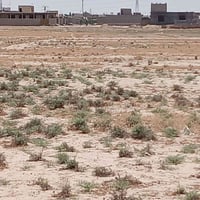 دونم ونص • خلف مدرسة الرياحين • أرض