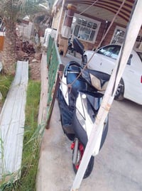 ماكس ثعلب • اوراق كاملة • باتري تعبان