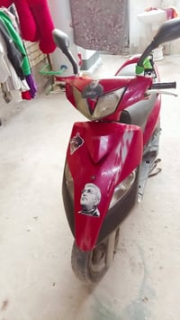 ثعلب • مرخص • أوراق شغاله