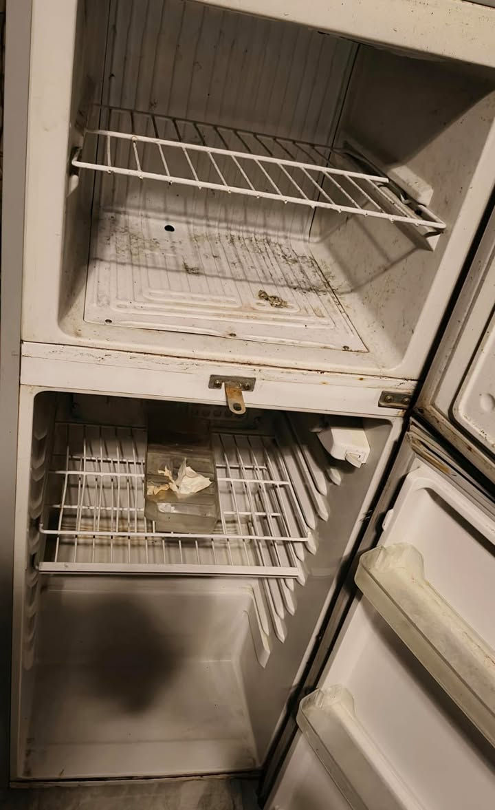 ثلاجة 14 قدم شغاله وبلاد ثلج فقط جاي انضفها ونزرف الفريز وطلع الغاز


**إذا كنت صاحب هذا الإعلان وتريد حذفه لأي سبب، رجاءا أرسل رسالة إلى الدعم الفني**