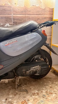 جوك • حاويه • منغولي