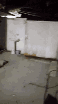 بيت • ١٠٠م • الصلاح