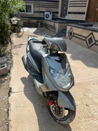 سكنس فحل للبيع فول نظافه  العنوان بغداد  07735999399