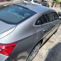 مالبيو • ٢٠٢٤ • رقم اربيل