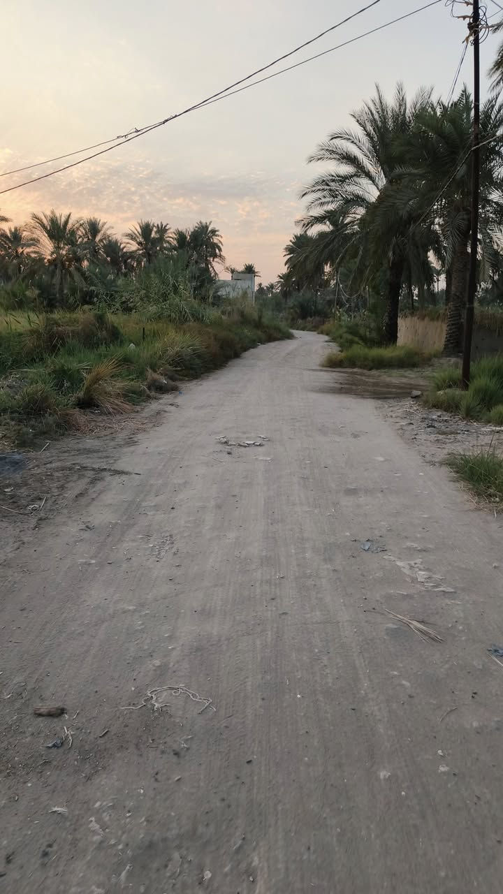 اعلان••••••••••••؟👋
قطعه ارض للبيع 

___________________
السريدات القديمة المدخل الاول شارع الجزيره السياحية مربع ثالث

مساحه الارض 500متر____ 

واجه 15متر ____

نزال 34متر____
♤______ع شارعين صايره ___////________//
 السعر خاص 
●●●●●●●●●●●●●●●

للاستفسار حول الموضوع اتصل على الرقم ***********
