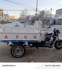 ستوته • مرقمة • مديل ٢١