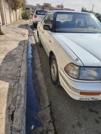 هارتوب ٨٩ • بدون صبغ • رقم ألماني