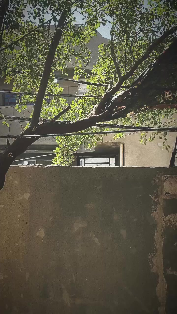 مراوس بكامله متياز
٢٥وفوك


**إذا كنت صاحب هذا الإعلان وتريد حذفه لأي سبب، رجاءا أرسل رسالة إلى الدعم الفني**