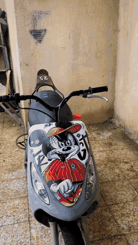 دراجه • كله بلاديه • بصرة جزيرة الفيحاء