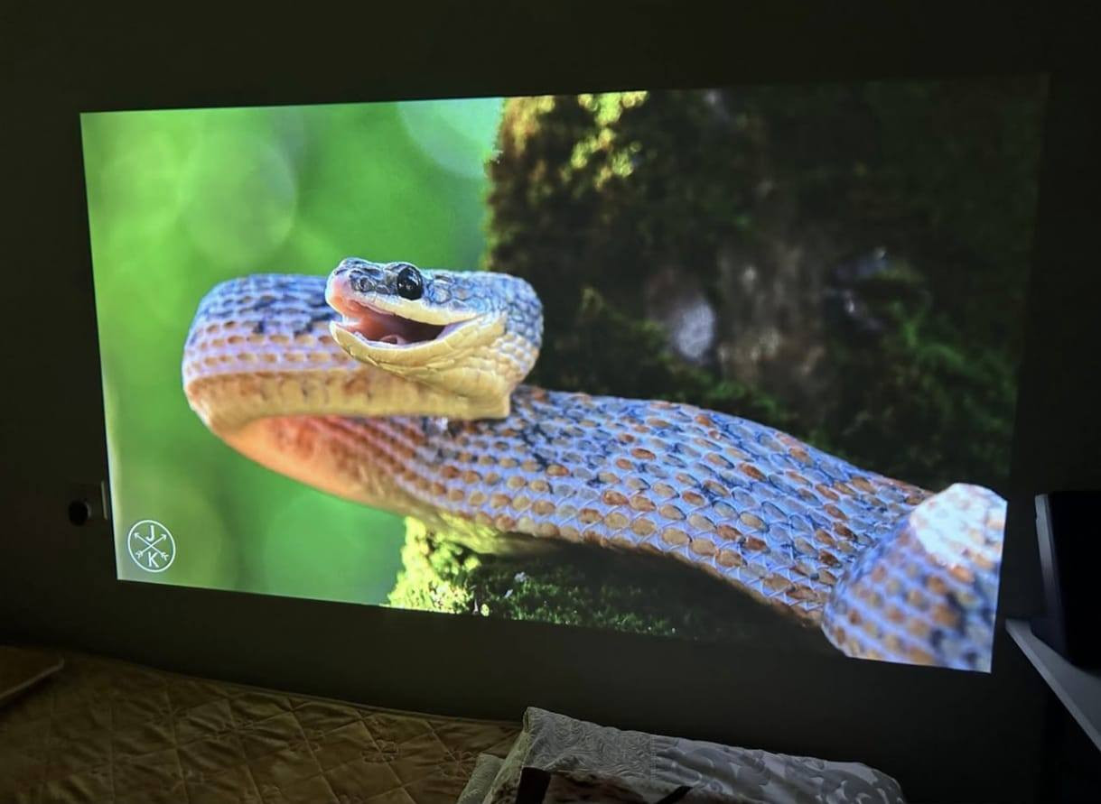 للبيع 145 مع التوصيل 
جهاز العرض الذكي TOPTRO X7 هو جهاز عرض شهير  مزود بنظام أندرويد مدمج، ويحتوي على تطبيقات مدمجة مثل نتفليكس ويوتيوب، بالإضافة إلى ميزات مثل التركيز التلقائي، وتصحيح الانحراف التلقائي، وواي فاي 6، وبلوتوث 5.2 لتوفير تجربة سينمائية منزلية متعددة الاستخدامات. تشمل الميزات الرئيسية محركًا بصريًا محكم الإغلاق ضد الغبار لمنع ظهور البقع، وسطوعًا عاليًا (حوالي 600-700 لومن ANSI)، وسهولة الاتصال عبر HDMI وUSB والبث اللاسلكي
ستمتع بالافلام والألعاب ومباريات حجم كبير تعرض اكثر من 5 متر


**إذا كنت صاحب هذا الإعلان وتريد حذفه لأي سبب، رجاءا أرسل رسالة إلى الدعم الفني**